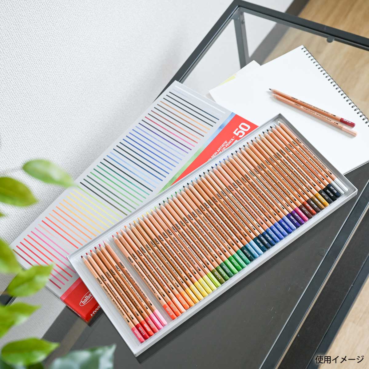 新商品プライス】ホルベイン 水彩色鉛筆 50色セット