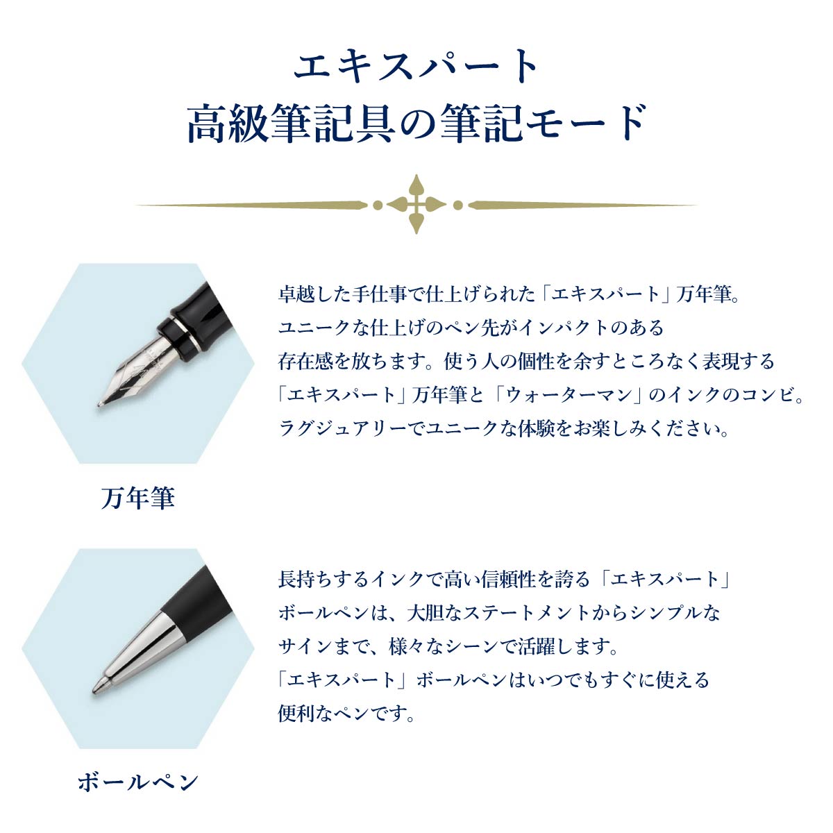 ウォーターマン エキスパート 万年筆 F 全4色