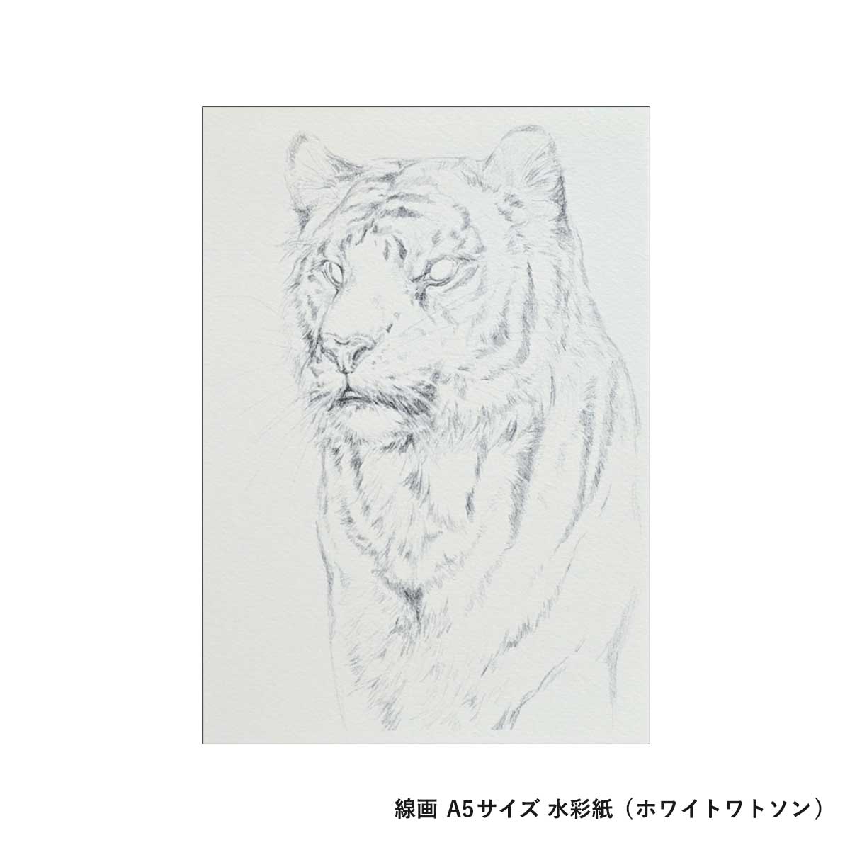 新商品価格】MINORI先生セレクト シュミンケ ホラダム 透明水彩絵具5色