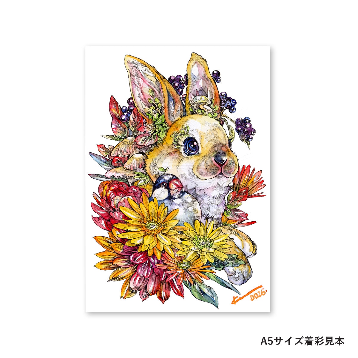 【新商品価格】マツダケンセレクト シュミンケホラダム透明水彩絵具 ドットパレット12色＋線画セット