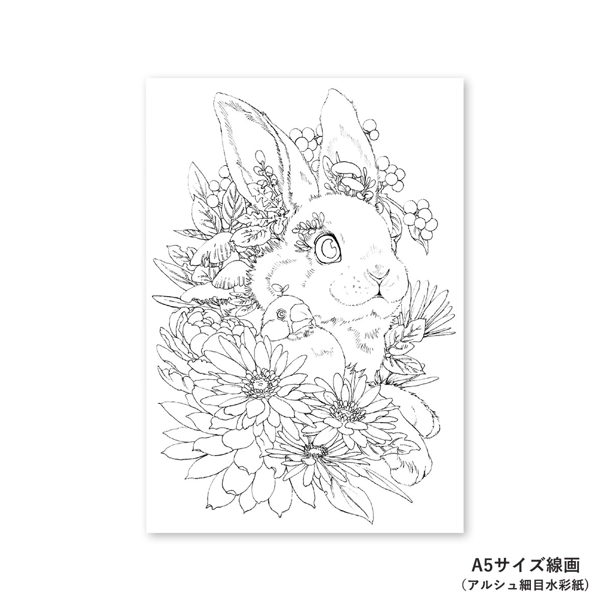 【新商品価格】マツダケンセレクト シュミンケホラダム透明水彩絵具 ドットパレット12色＋線画セット