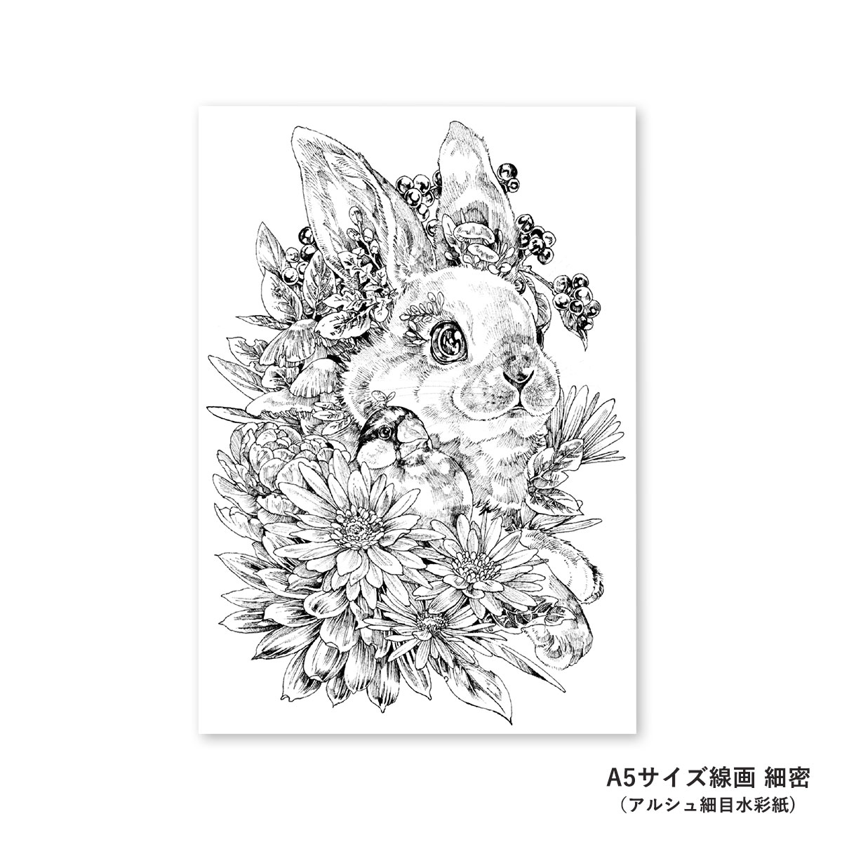 【新商品価格】マツダケンセレクト シュミンケホラダム透明水彩絵具 ドットパレット12色＋線画セット