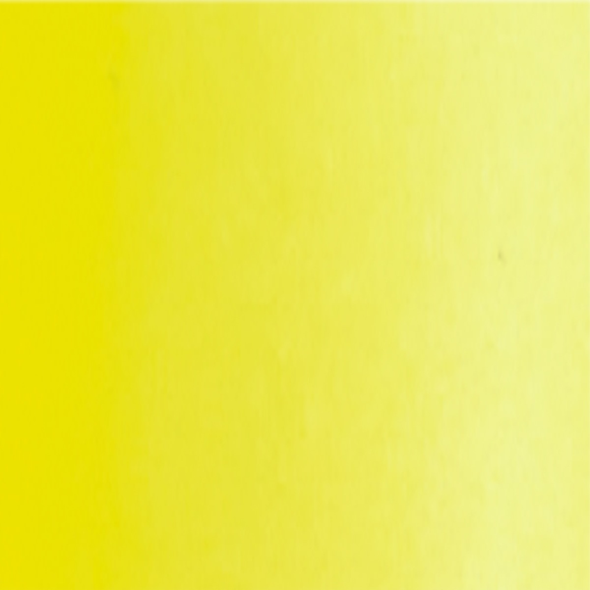 シュミンケ ホラダム透明水彩絵具2号(5ml)チューブ  1/4Page (031-353) 