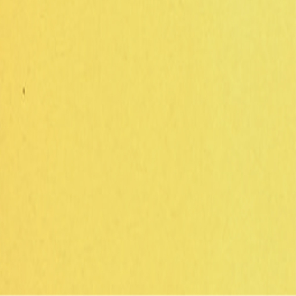 シュミンケ ホラダム透明水彩絵具2号(5ml)チューブ  1/4Page (031-353) 