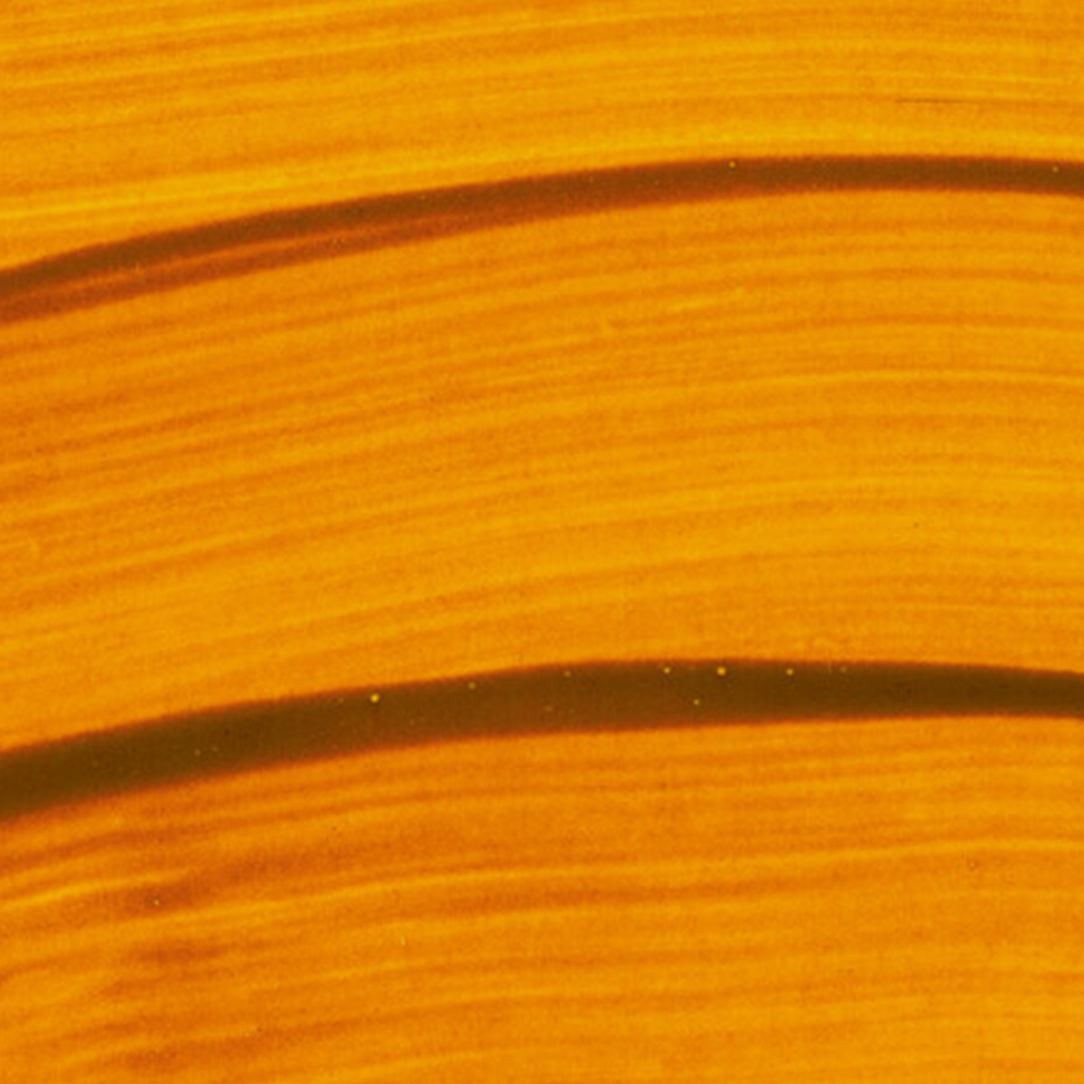 シュミンケ ホラダム透明水彩絵具2号(5ml)チューブ ナチュラルズ (全16色)