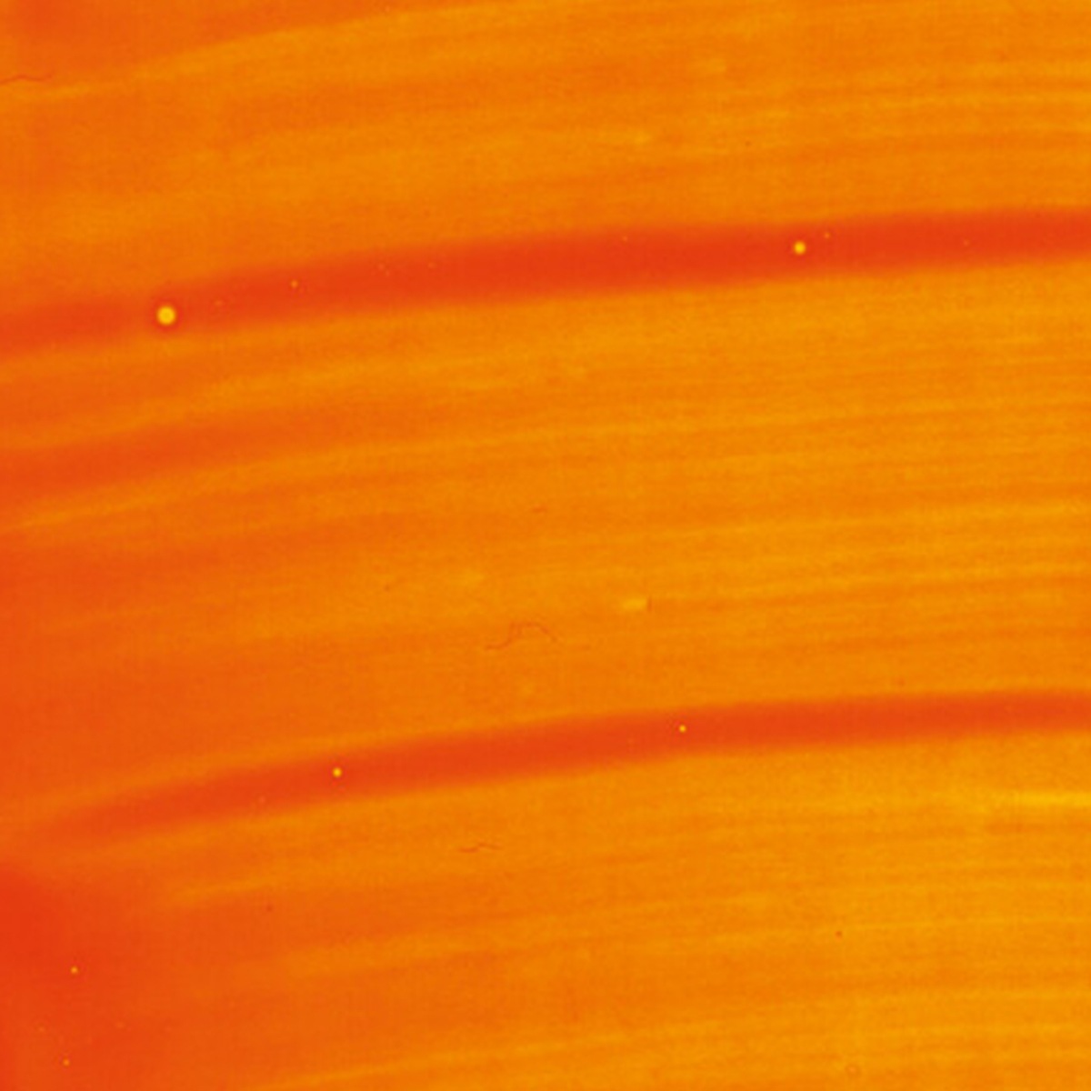 シュミンケ ホラダム透明水彩絵具2号(5ml)チューブ ナチュラルズ (全16色)