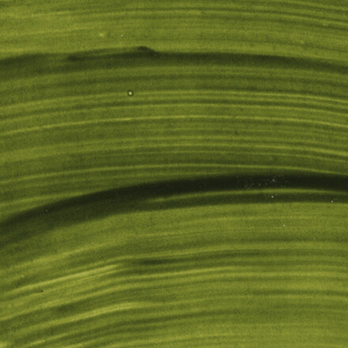 シュミンケ ホラダム透明水彩絵具2号(5ml)チューブ ナチュラルズ (全16色)