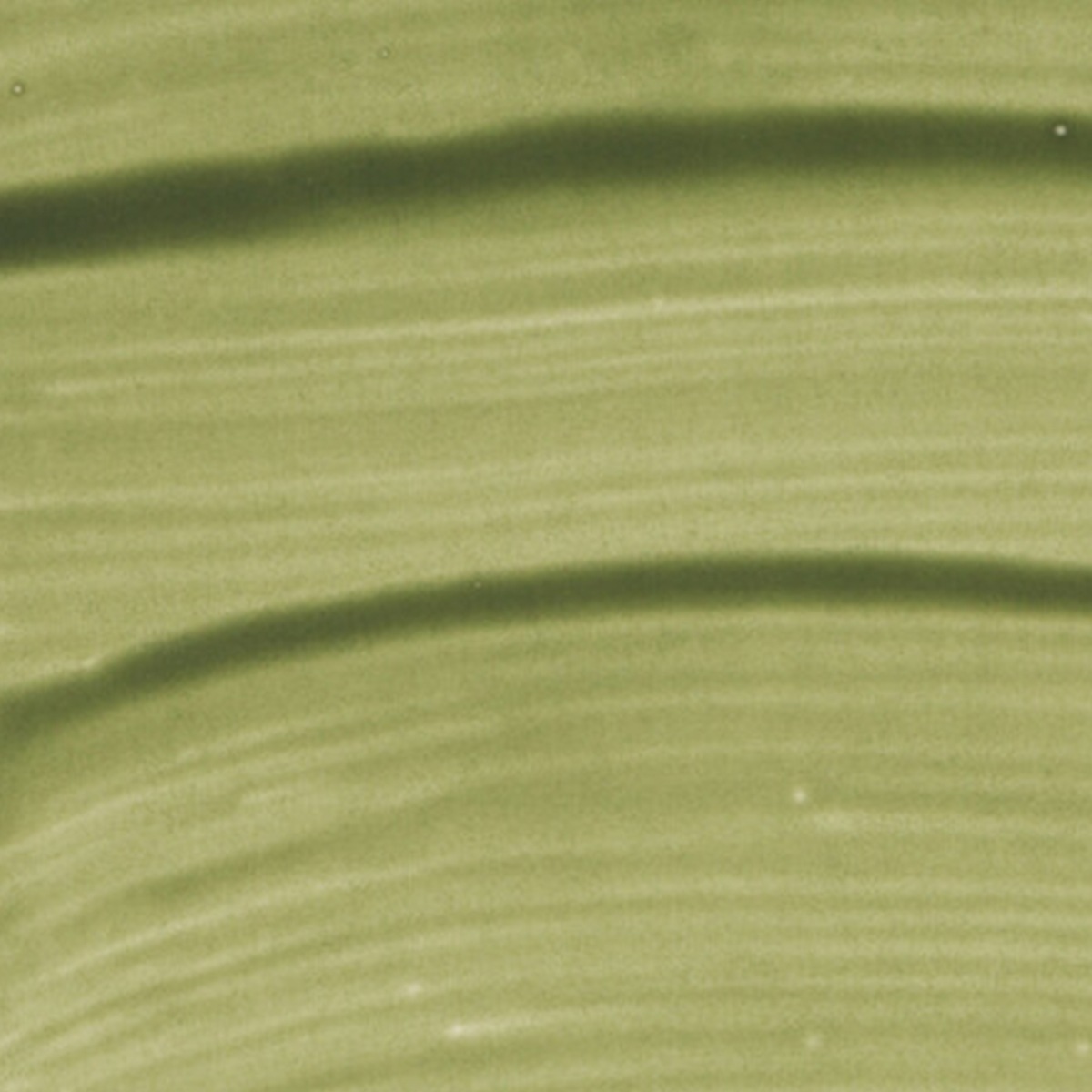 シュミンケ ホラダム透明水彩絵具2号(5ml)チューブ ナチュラルズ (全16色)