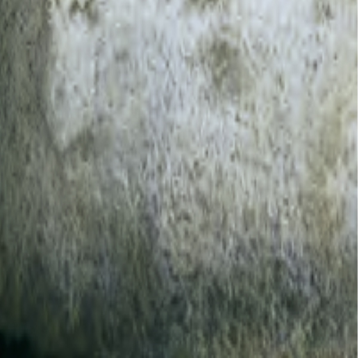 シュミンケ ホラダム透明水彩絵具2号(5ml)チューブ スーパーグラニュレーティングカラー 1/2Page (911-956)