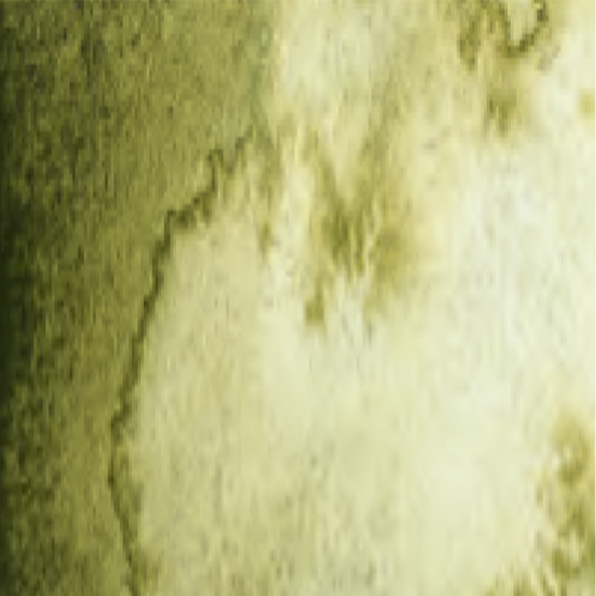 シュミンケ ホラダム透明水彩絵具2号(5ml)チューブ スーパーグラニュレーティングカラー 1/2Page (911-956)