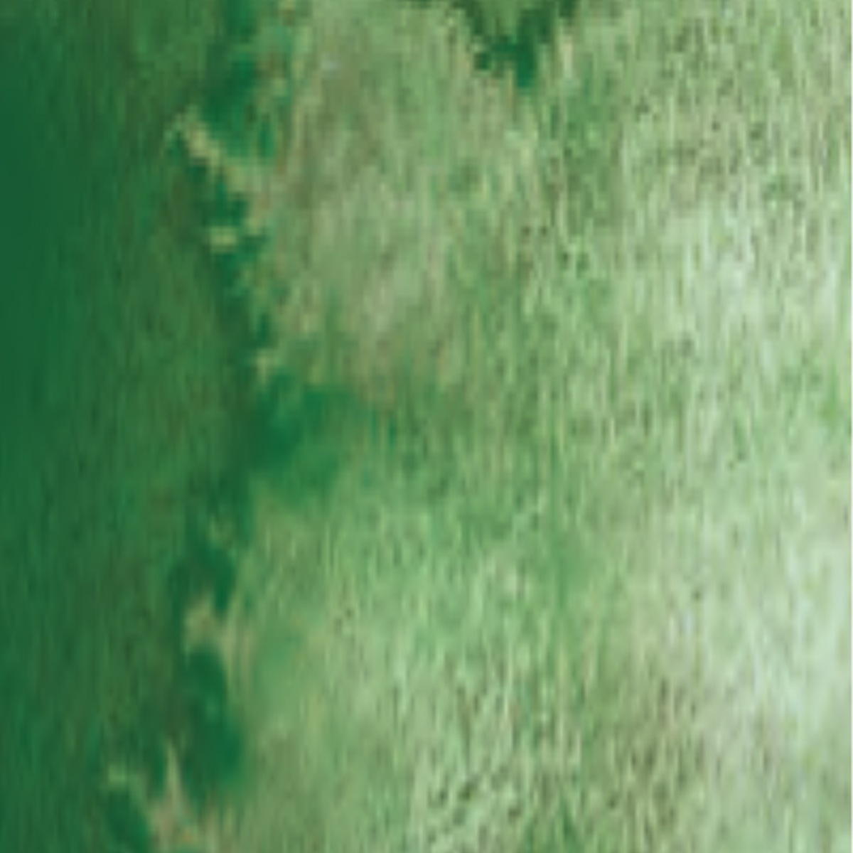 シュミンケ ホラダム透明水彩絵具2号(5ml)チューブ スーパーグラニュレーティングカラー 1/2Page (911-956)