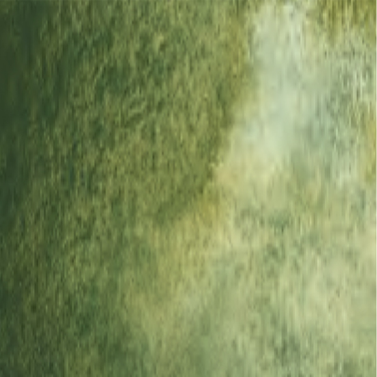 シュミンケ ホラダム透明水彩絵具2号(5ml)チューブ スーパーグラニュレーティングカラー 1/2Page (911-956)