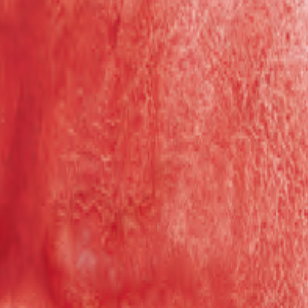 シュミンケ ホラダム透明水彩絵具2号(5ml)チューブ スーパーグラニュレーティングカラー 1/2Page (911-956)