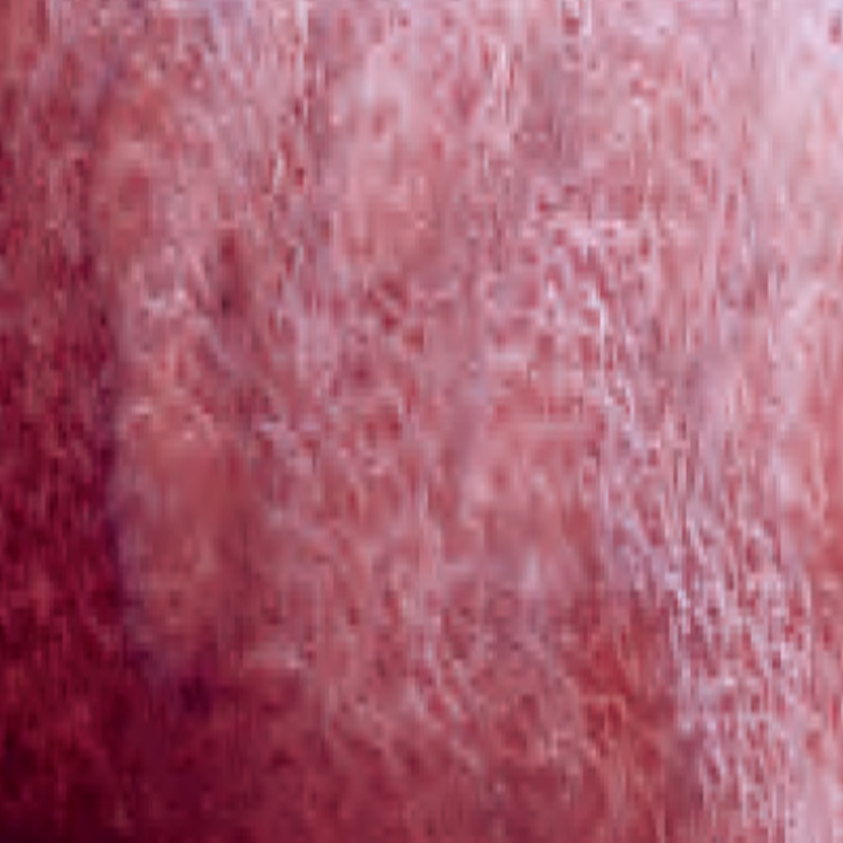 シュミンケ ホラダム透明水彩絵具2号(5ml)チューブ スーパーグラニュレーティングカラー 1/2Page (911-956)