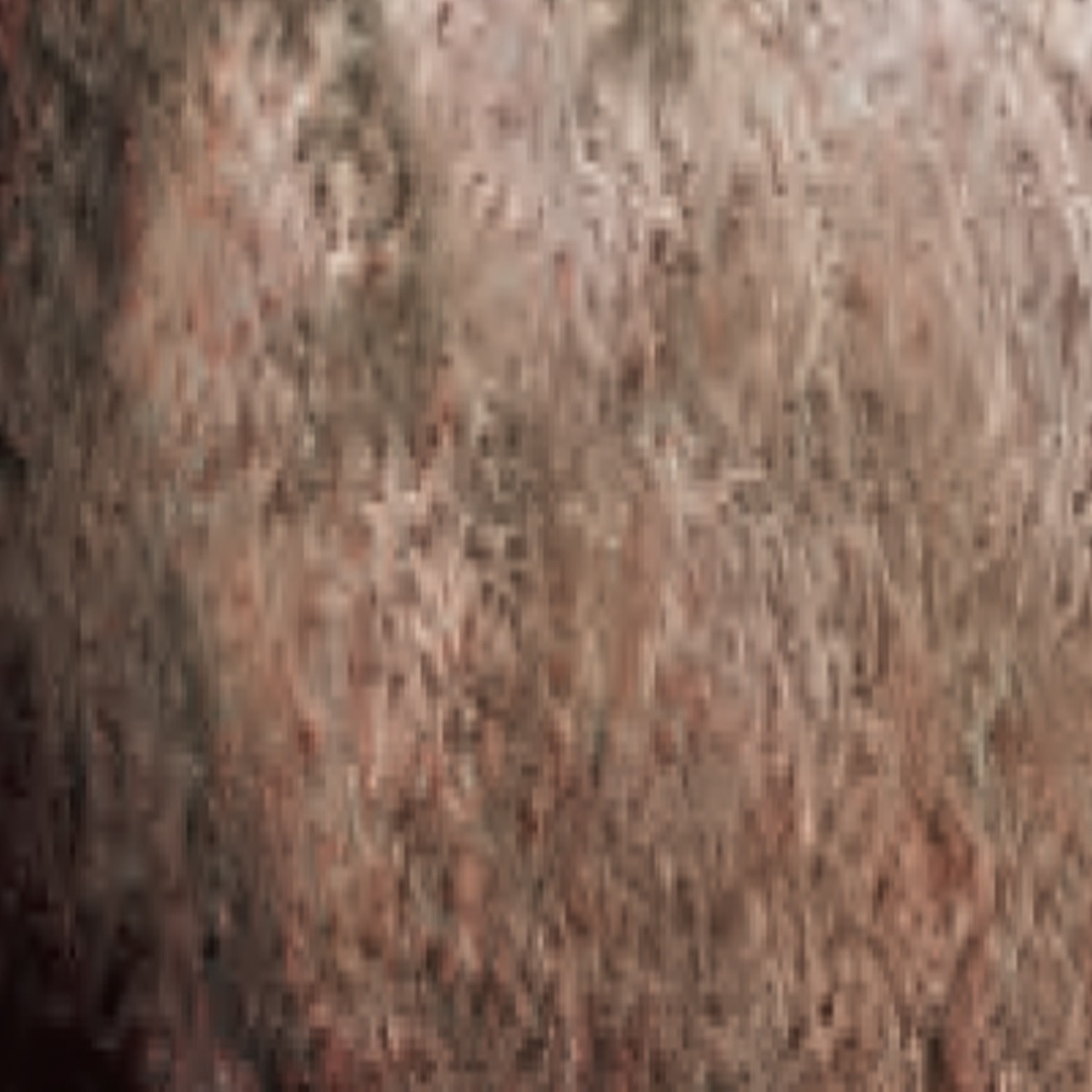 シュミンケ ホラダム透明水彩絵具2号(5ml)チューブ スーパーグラニュレーティングカラー 1/2Page (911-956)