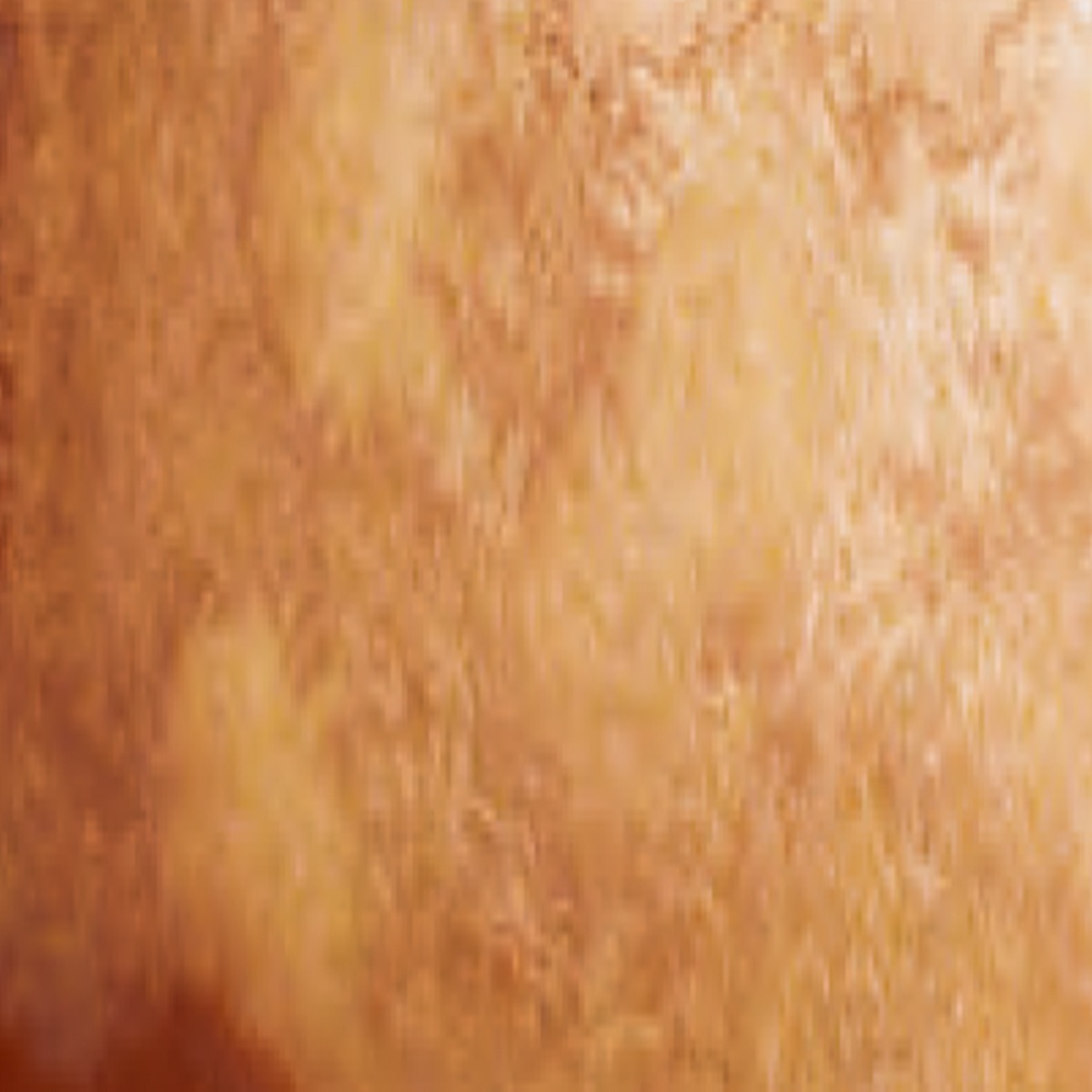 シュミンケ ホラダム透明水彩絵具2号(5ml)チューブ スーパーグラニュレーティングカラー 1/2Page (911-956)