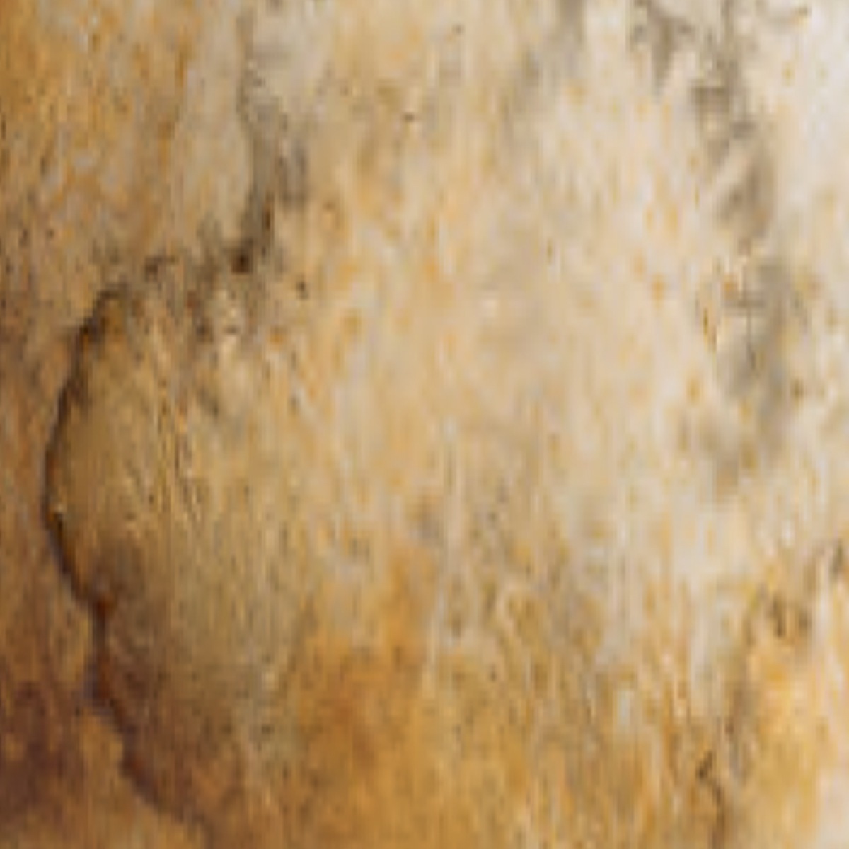 シュミンケ ホラダム透明水彩絵具2号(5ml)チューブ スーパーグラニュレーティングカラー 1/2Page (911-956)