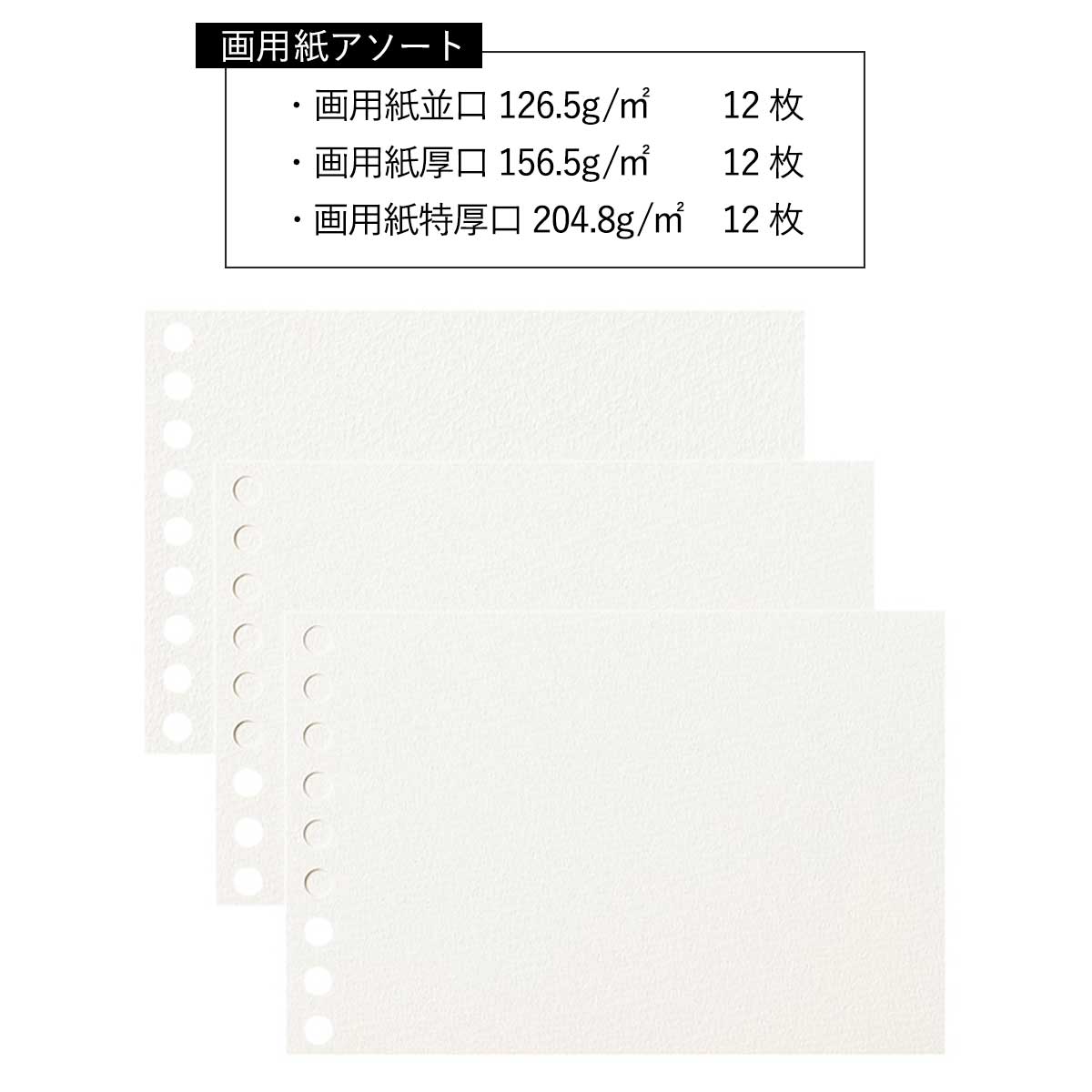 【新商品価格】(数量限定) マルマン ルーズリーフミニ アソートパック  (ヴィフアール/画用紙/クロッキー) 全3種 スケッチブックの日2026