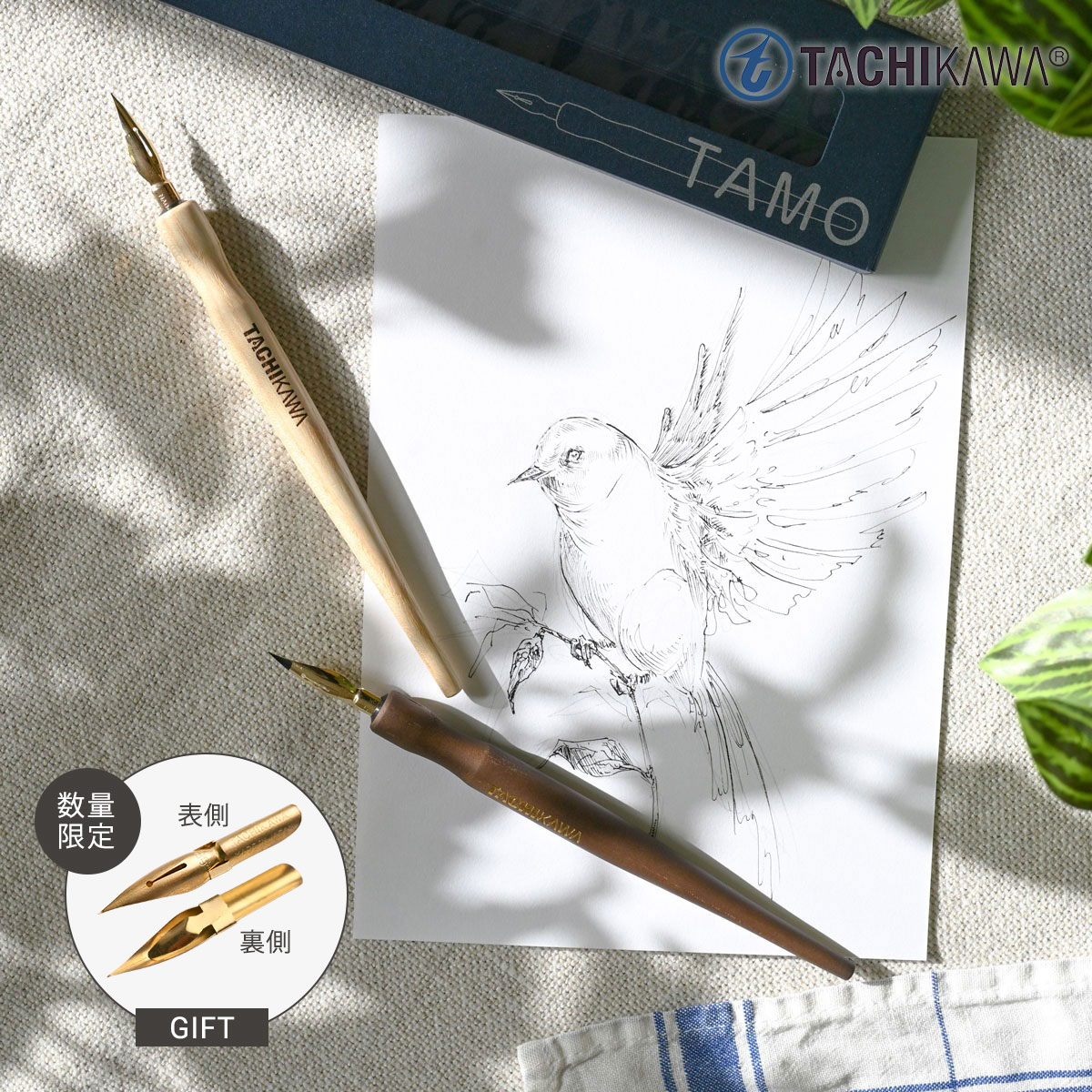 タチカワ プレミアムフリーペン軸 TAMO ナチュラル/ショコラ 全2種 (数量限定サジペン先プレゼントキャンペーン)