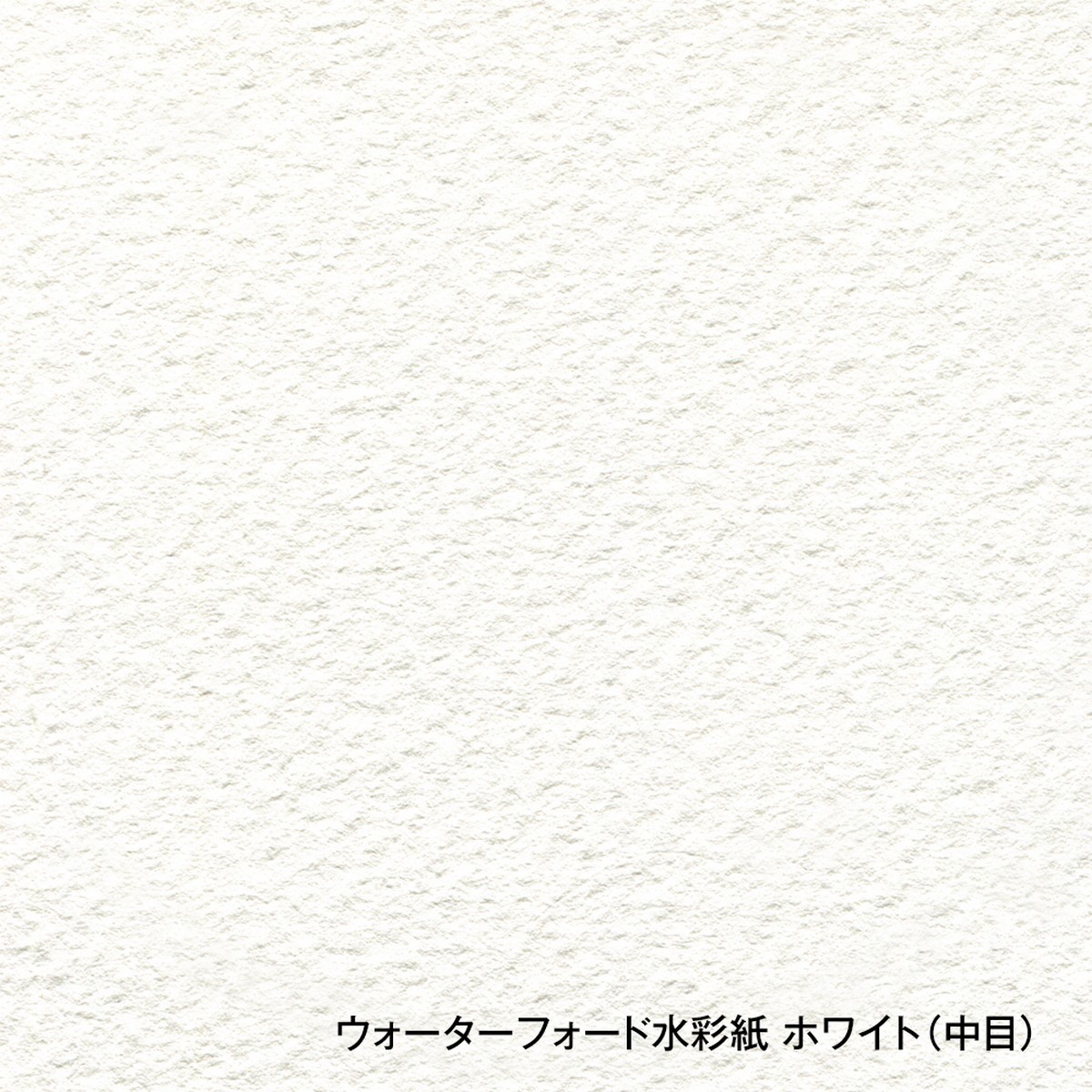 ホルベイン ホワイトウォーターフォード ブロックEHB 全8種