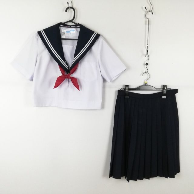 �����顼�� �������� �������� �岼3�����å� 170A �礭�������� ��ʪ ��2���� ���� ������ ��� �⹻ �� ���� ��� ���C NA7670