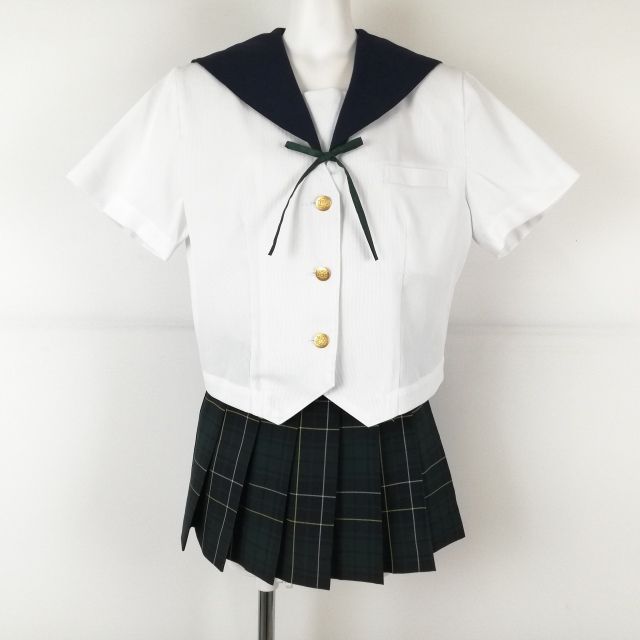 �����顼�� �ޥ������ߥ˥������� ɳ���� �岼3�����å� 160B �礭�������� �ٻΥ�å� ��ʪ ���ſ建�⹻ �� ��� ���B NA7891