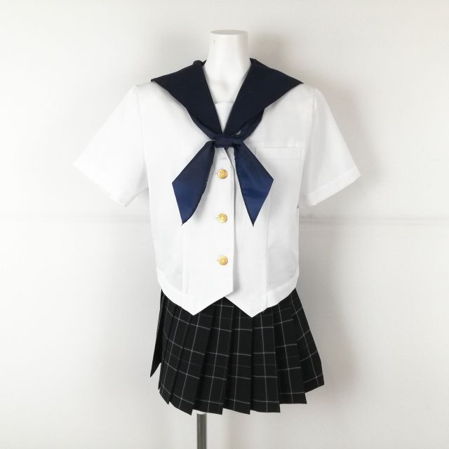 �����顼�� �ޥ������ߥ˥������� �������� �岼3�����å� 165A �礭�������� �ٻΥ�å� ��ʪ ���ſ建�⹻ �� ��� ���B NA8152