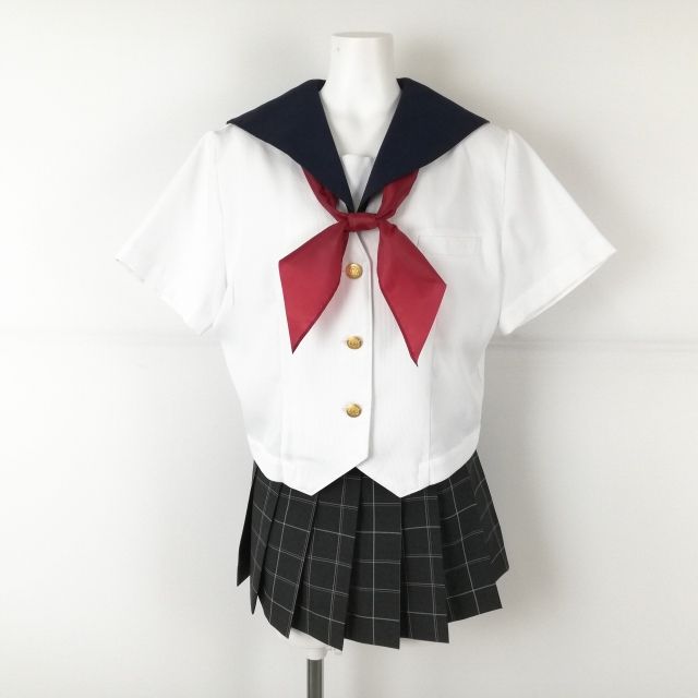 �����顼�� �ޥ������ߥ˥������� �������� �岼3�����å� 160B �礭�������� �ٻΥ�å� ��ʪ ���ſ建�⹻ �� ��� ���B NA8153