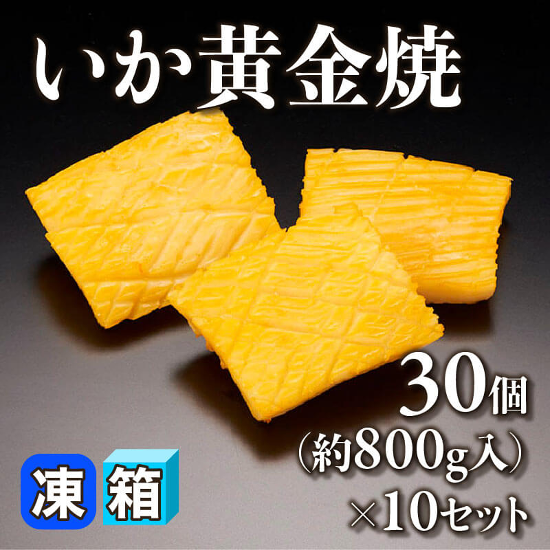 ［箱売］いか黄金焼 300個（30個・約800g入×10セット）〈冷凍〉
