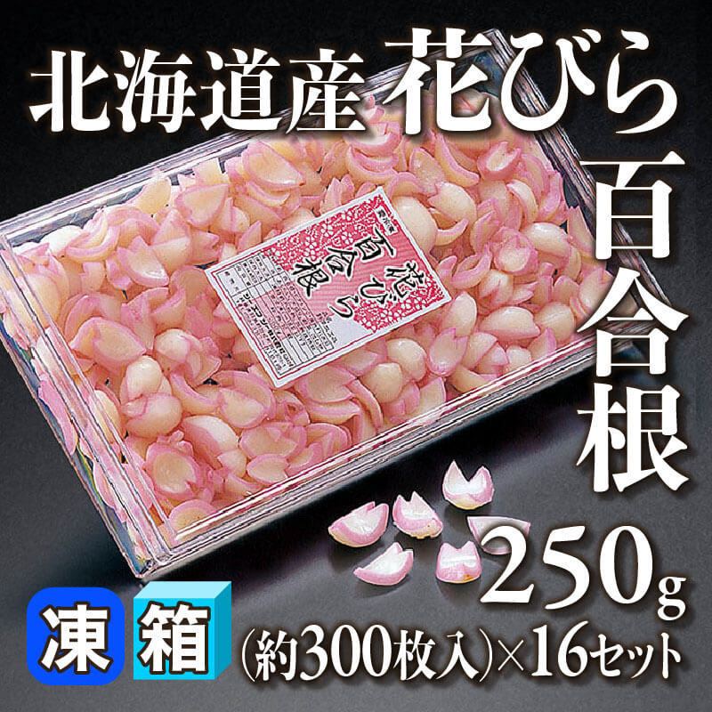 ［箱売］GFC 北海道産 花びら百合根 約4,800枚（250g・約300枚入×16セット）〈冷凍〉