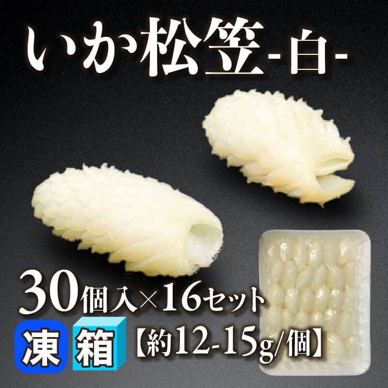［箱売］いか松笠 -白- 480個（30個入×16セット）［約12-15g/個］〈冷凍〉
