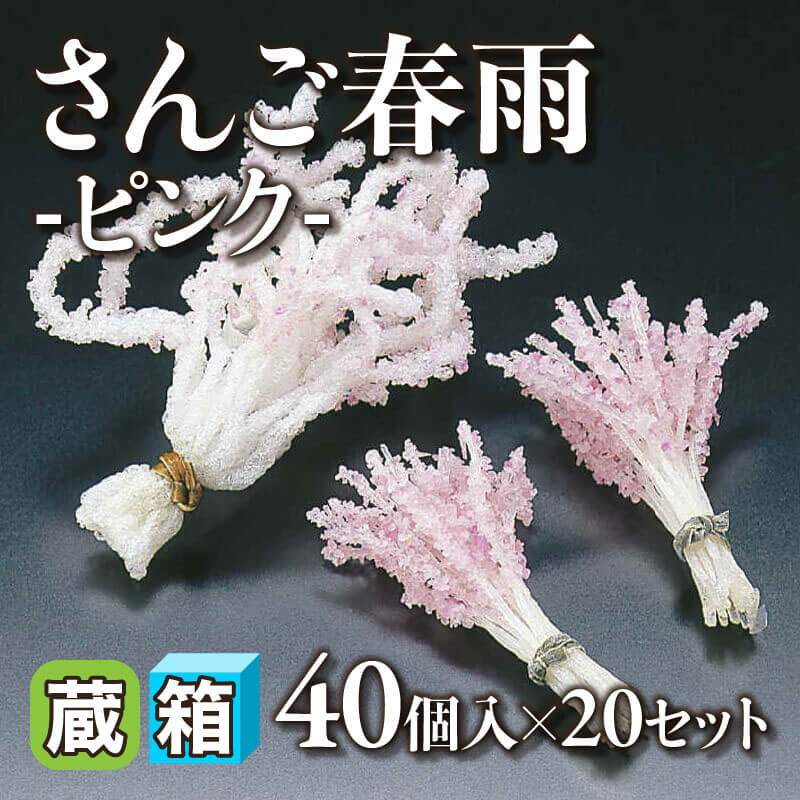 ［箱売］さんご春雨 -ピンク- 800個（40個入×20セット）〈常温〉