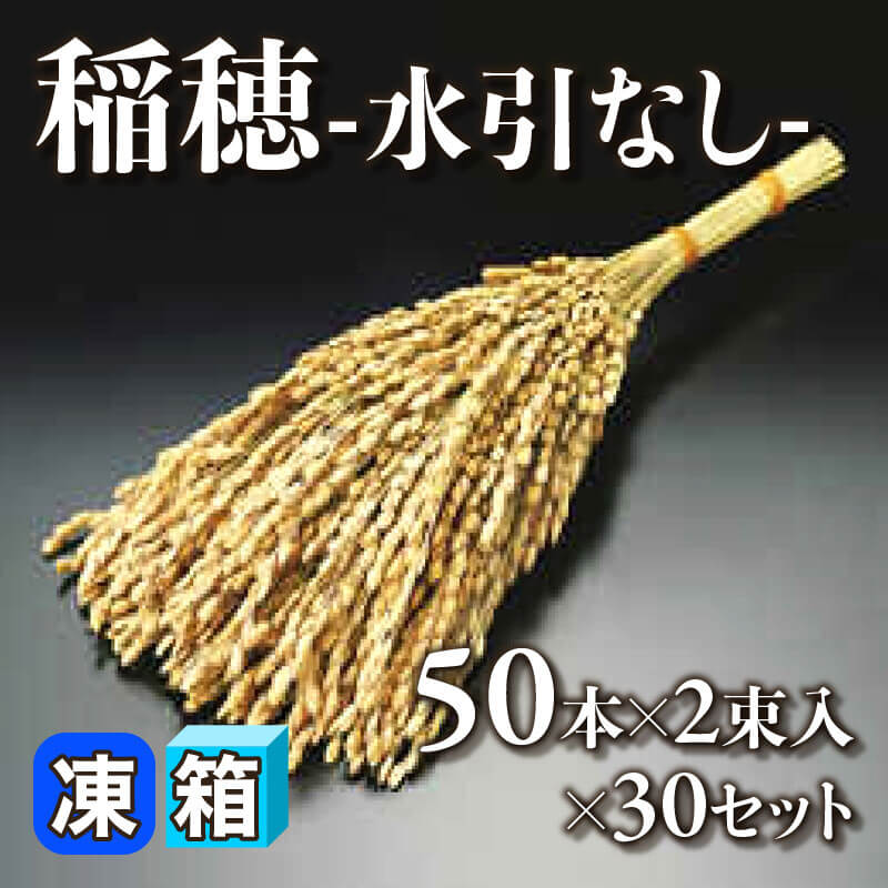 ［箱売］稲穂 -水引なし- 3000本（50本×2束入×30セット）〈冷凍〉