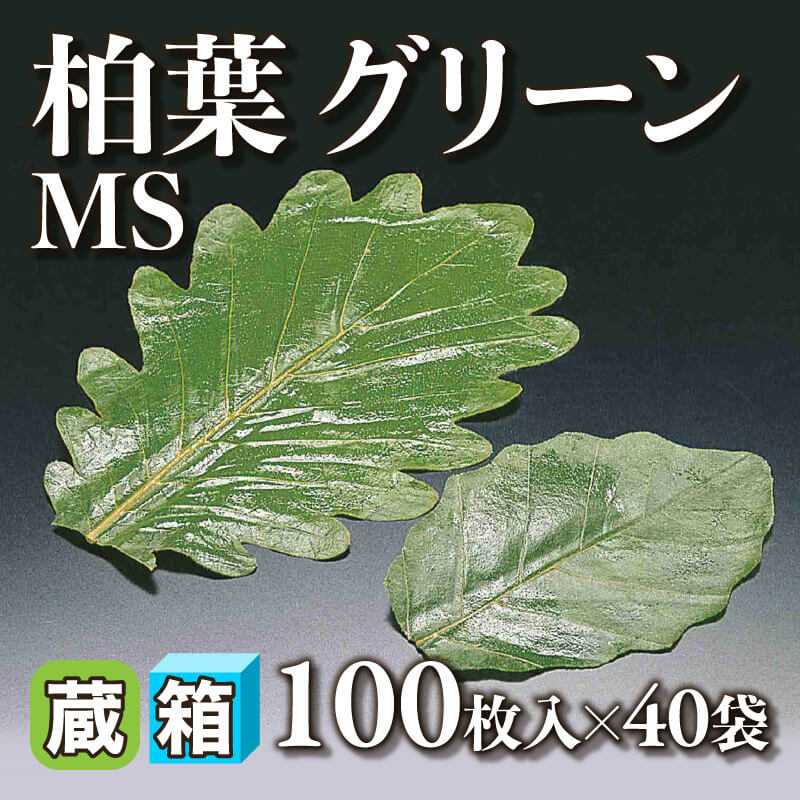 ［箱売］柏葉 グリーン MS 400枚（100枚入×40袋）〈冷蔵〉