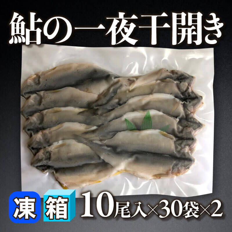 ［箱売］国産 鮎の一夜干開き 600尾（10尾入×30袋×2）〈冷凍〉