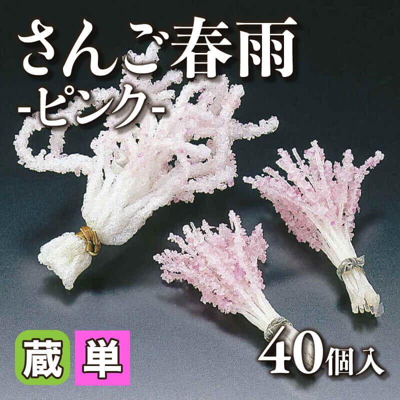 ［小売］さんご春雨 -ピンク-（40個入）〈常温〉