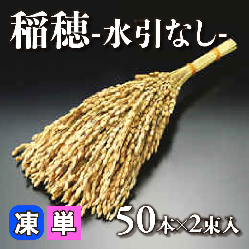 ［小売］稲穂 -水引なし-（50本×2束入）〈冷凍〉