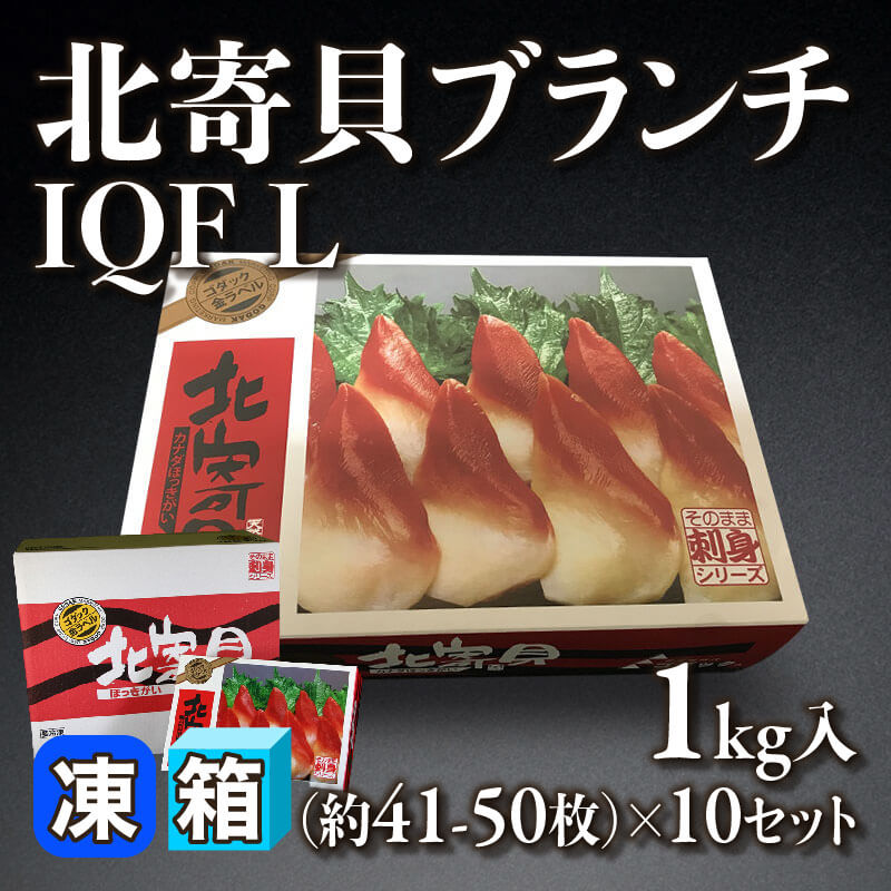 ［箱売］北寄貝ブランチ IQF L 約410-510枚（1kg・約41-50枚入×10セット）〈冷凍〉