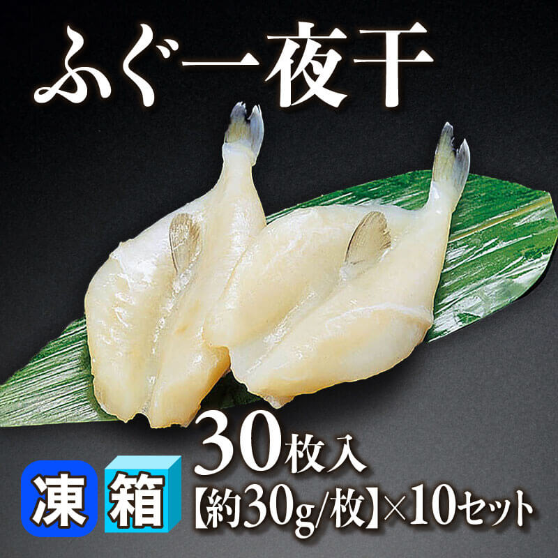 ［箱売］ふぐ一夜干 300枚（30枚入×10セット）［約30g/枚］〈冷凍〉