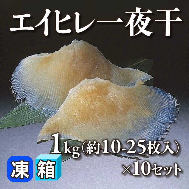 ［箱売］エイヒレ一夜干 約100-250枚［約40-100g/枚］（1kg・約10-25枚入×10セット）〈冷凍〉