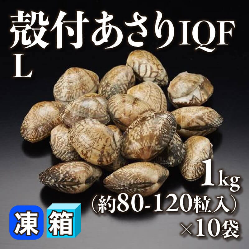 ［箱売］殻付あさりIQF L 約800-1,200粒（1kg・約80-120粒入×10袋）〈冷凍〉