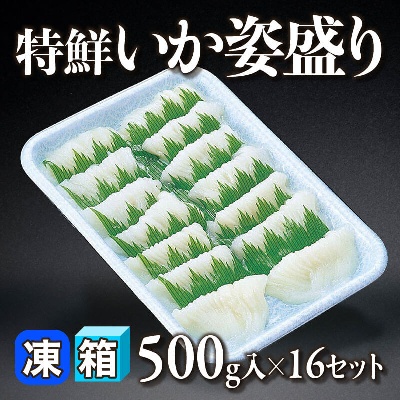 ［箱売］特鮮いか姿盛り（500g入×16セット）〈冷凍〉