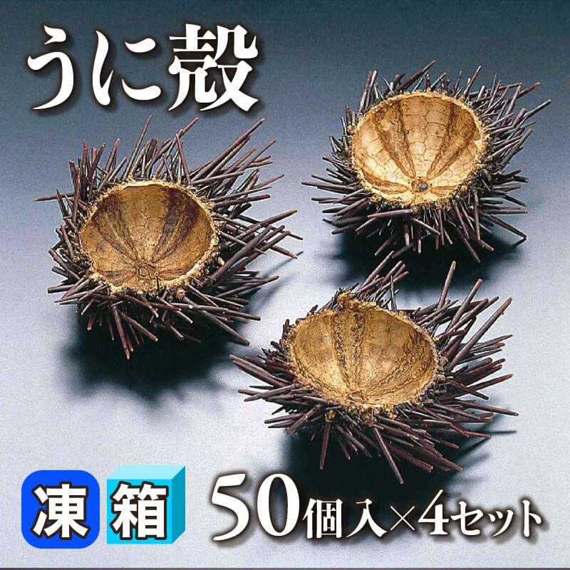 ［箱売］うに殻 200個［約15g/個］（50個入×4セット）〈冷凍〉