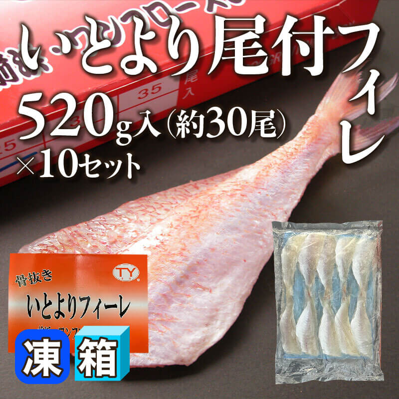 ［箱売］いとより尾付フィレ 約300尾（520g・約30尾入×10セット）〈冷凍〉