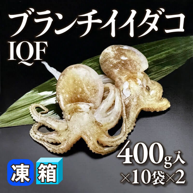 ［箱売］ブランチイイダコ IQF 20袋（400g入×10袋×2）〈冷凍〉