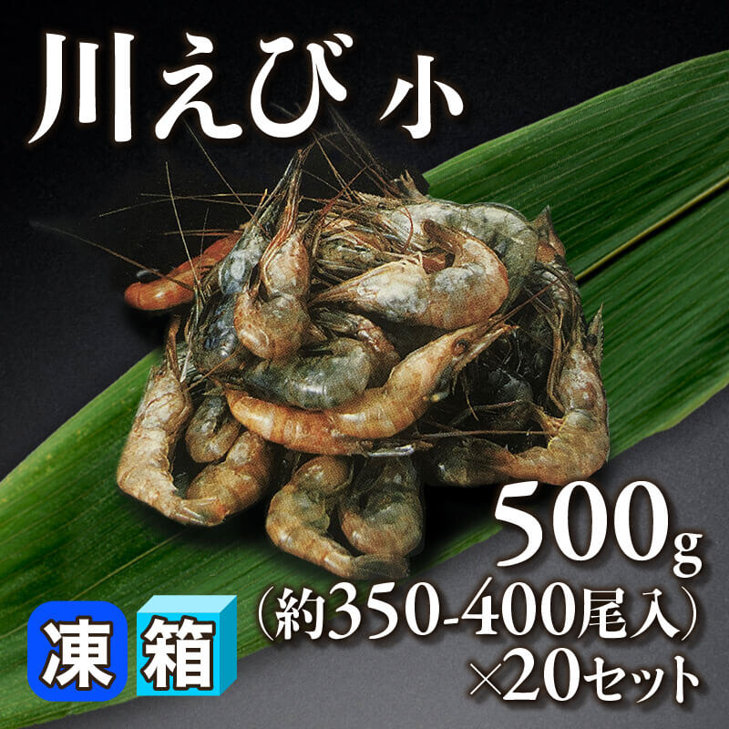 ［箱売］川えび 小 約7,000-8,000尾（500g・約350-400尾入×20セット）〈冷凍〉