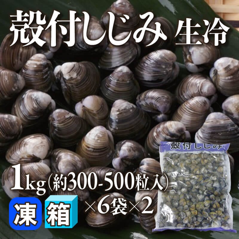 ［箱売］殻付しじみ 生冷 約3,600-6,000粒（1kg・約300-500粒入×6袋×2）〈冷凍〉