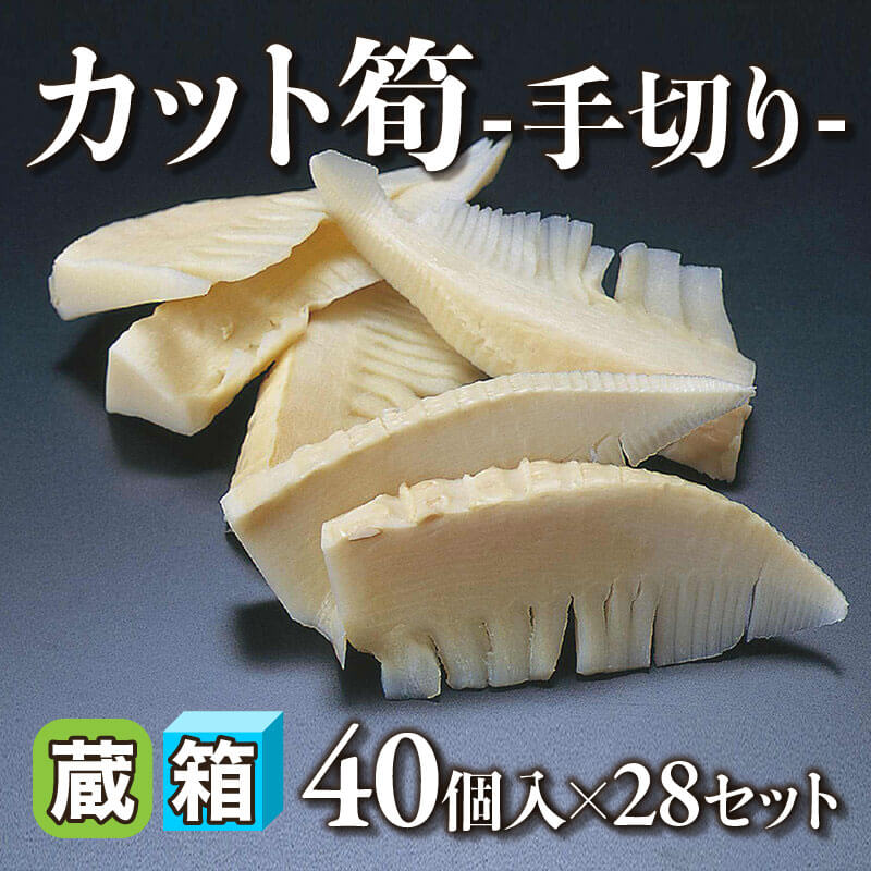 冬筍 M 約225g・6-10個入×1箱｜飲食業務用仕入れ注文専門 フーディーズ