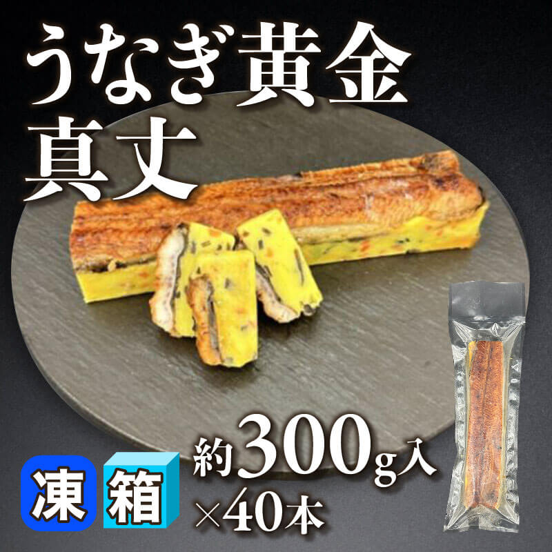 ［箱売］うなぎ黄金真丈（約300g入×40本）〈冷凍〉