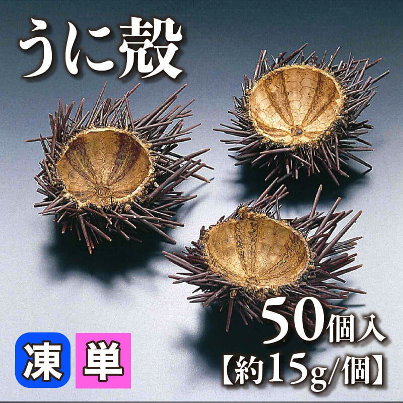 うに殻 50個入×4セット｜飲食業務用仕入れ注文専門 フーディーズ